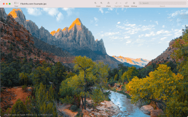 Screenshot of a .jpx file in Apple Preview 11